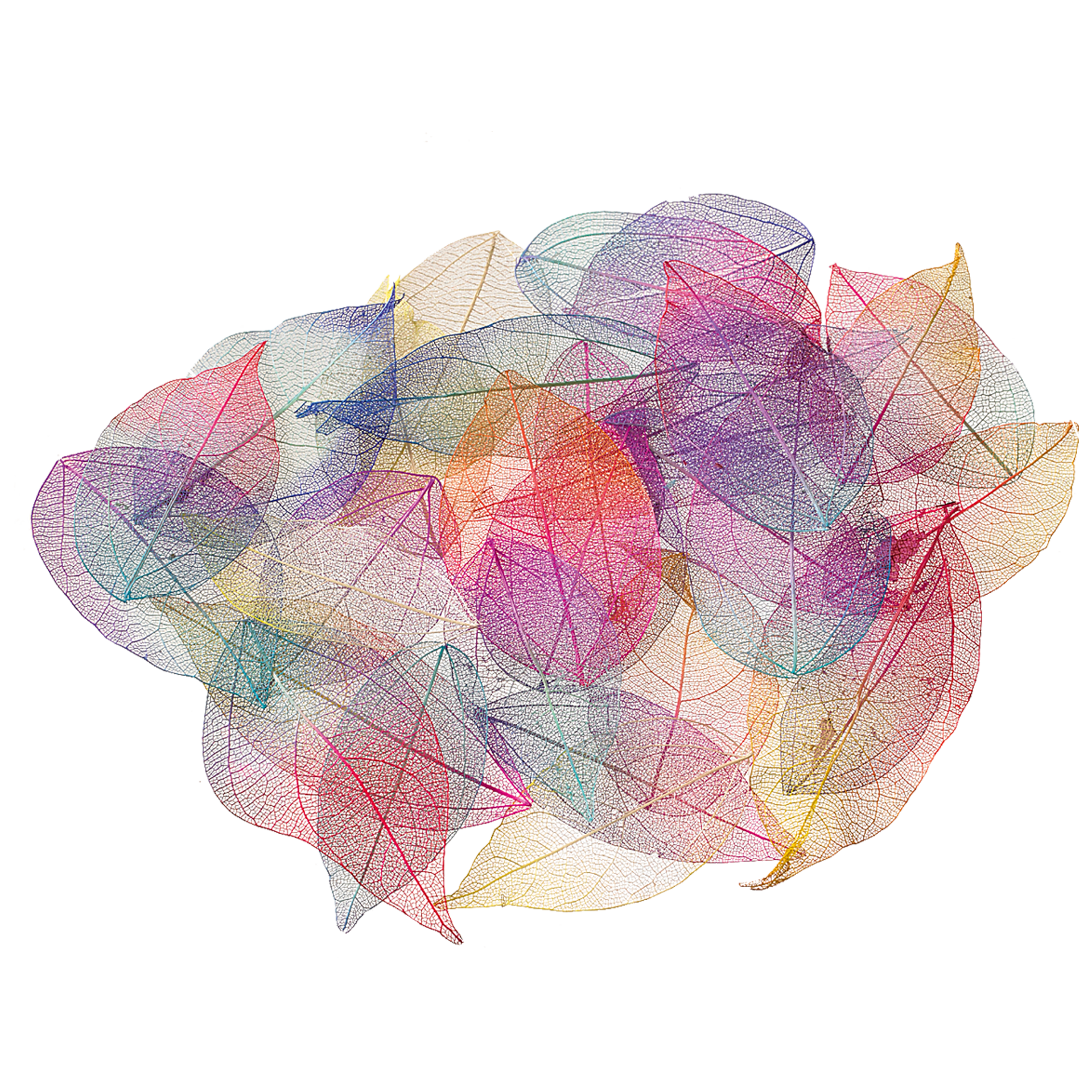 Dekorationer löv, multifärgat