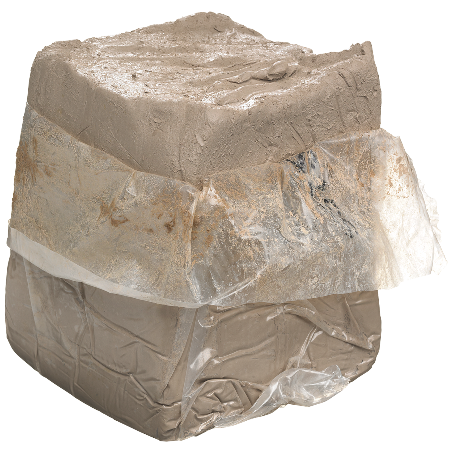 Stengodslera gråvit