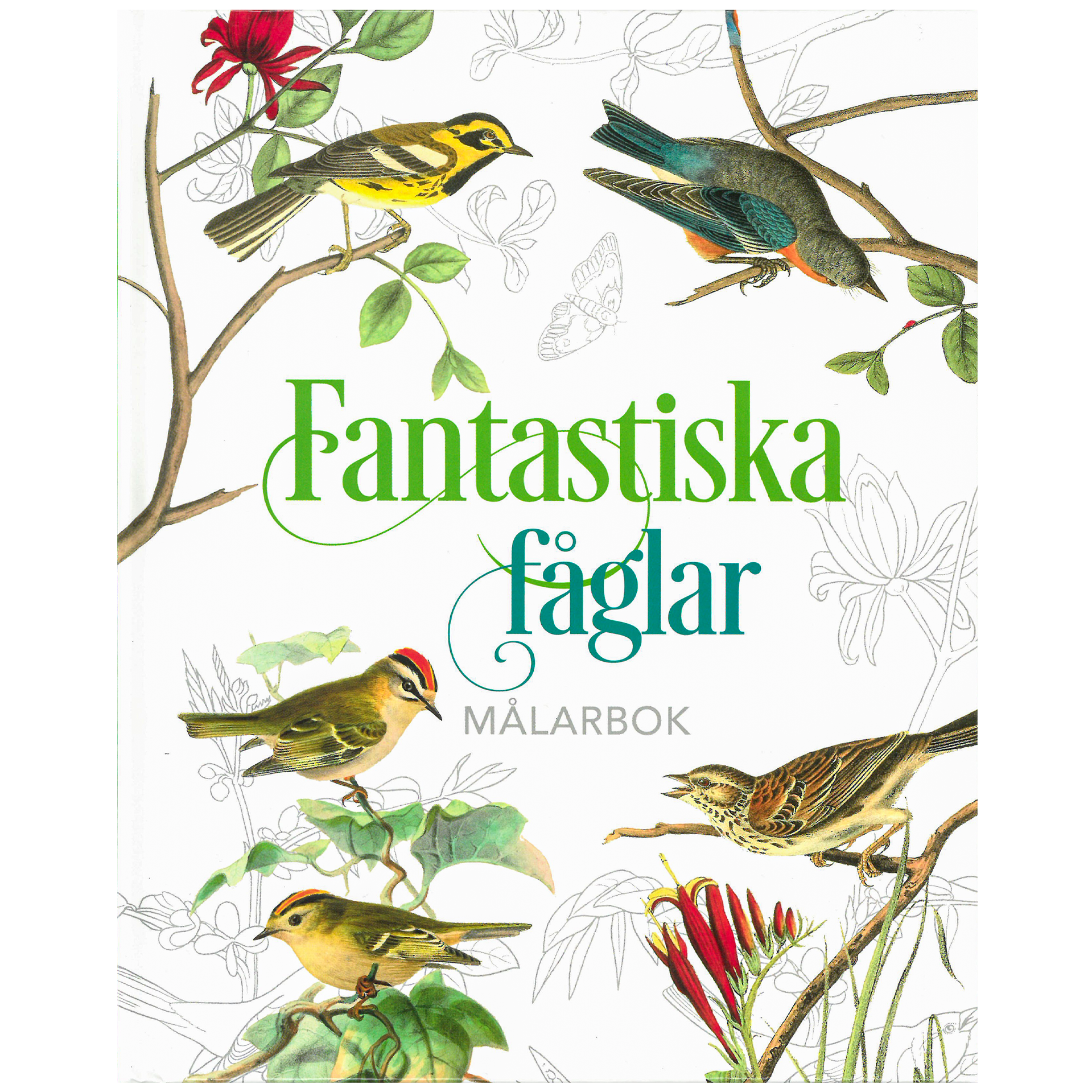 Fantastiska Fåglar Målarbok