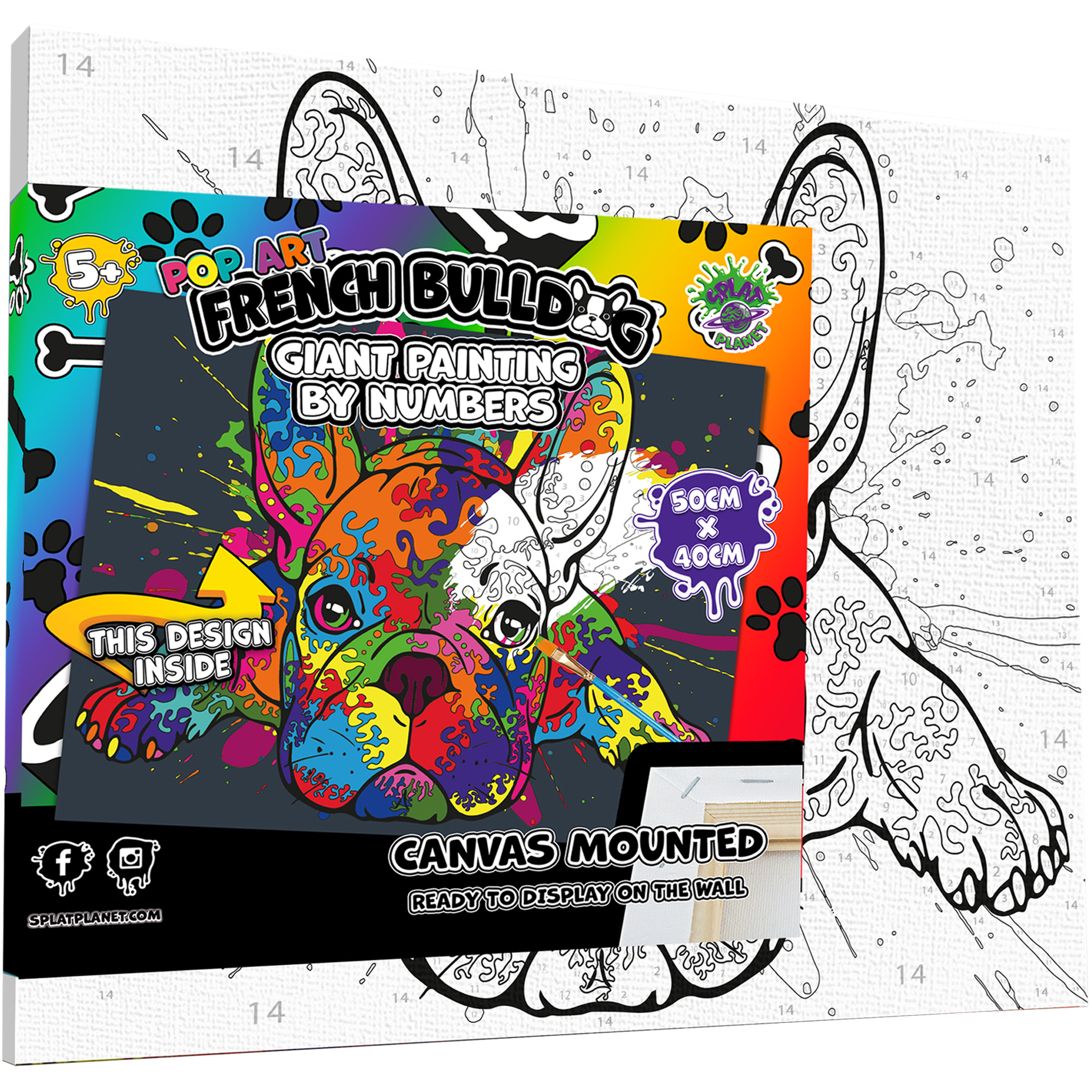 Paint by Numbers 30 x 40